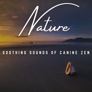 Dog's Zen Oasis: Soothing Melodies - Relax My Dog Music