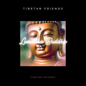 Luminous Buddha - Tibetan Friends