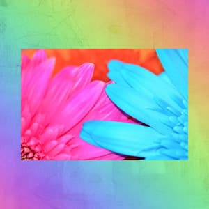 Ambiance for Effective Motivation - Cafe Jazz Duo