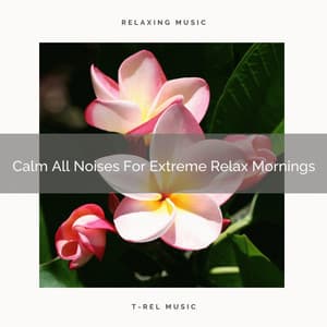 Calm All Noises For Extreme Relax Mornings - White Noise Hour