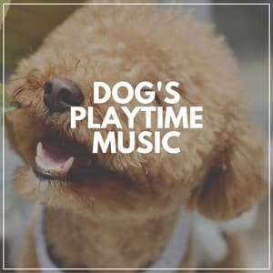Dog's Playtime Music - Sleeping Music For Dogs