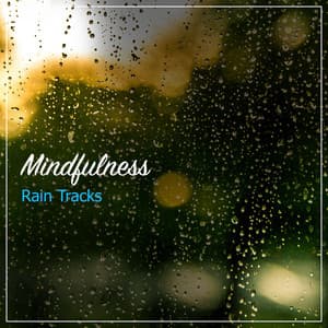#22 Mindfulness Rain Tracks to Relieve Stress - Ambient Nature White Noise