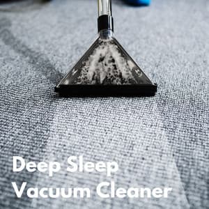 Deep Sleep Vaccum Cleaner - Deep Sleep Vacuum Cleaners