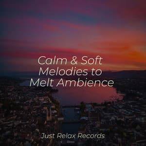 Calm & Soft Melodies to Melt Ambience - Meditar Profundamente