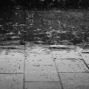 Easy Sleep with Comforting Rain Noise Vol. 1 - Sleep Playlist