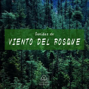 Sonidos de Viento del Bosque - Lluvia Del Bosque