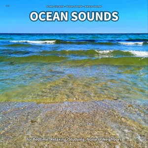 ** Ocean Sounds for Bedtime, Relaxing, Studying, Noise of Neighbors - Ocean Currents