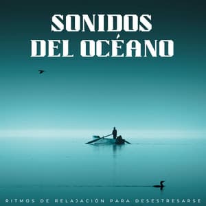 Sonidos Del Océano: Ritmos De Relajación Para Desestresarse - Academia de Música para Reducir el Estrés