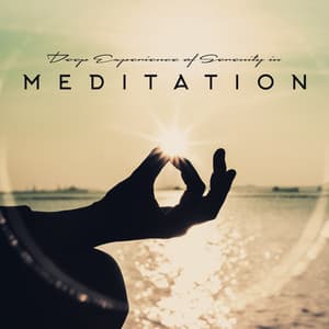 Deep Experience of Serenity in Meditation - System for Chakra