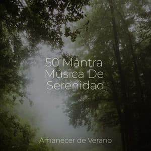 50 Mantra Música De Serenidad - Musica Para Dormir y Sonidos de la Naturaleza