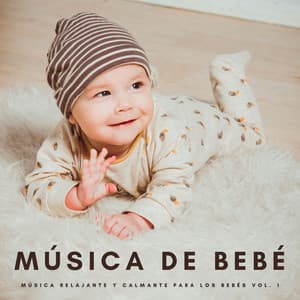 Música De Bebé: Música Relajante y Calmante Para Los Bebés Vol. 1 - Musica Clasica para Bebes Orchestra