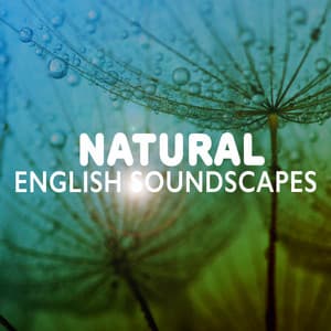 Natural English Soundscapes - Soundscapes