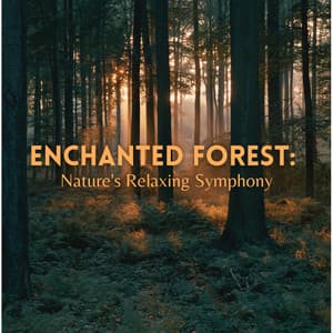 Enchanted Forest: Nature's Relaxing Symphony - Outdoor Field Recorders