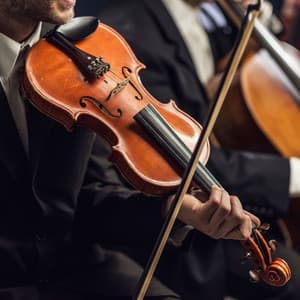 Cats' Night Serenade: Tranquil Orchestra Sounds - Charles Anderson