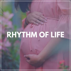 Rhythm of Life - Womb Sound