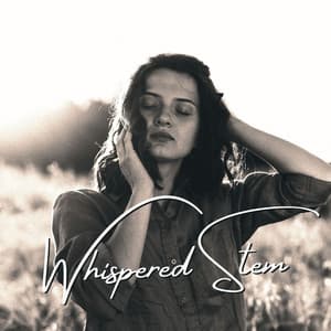 Whispered Stem: Framed by Light - Calming Piano Music Collection
