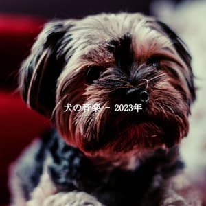 犬の音楽 – 2023年 - Soft Background Jazz