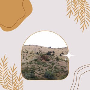 Quartet Jazz - Ambiance for Serene December - New York City Jazz