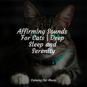 Affirming Sounds For Cats | Deep Sleep and Serenity - Cat Music Dreams