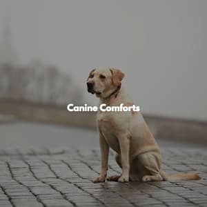 Canine Comforts - Hotel Lounge Soundtracks