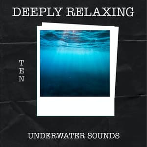 10 Deeply Relaxing Underwater Sounds - Sleep Radiance