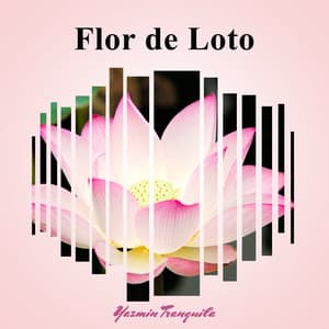 Flor de Loto: Música para Descansar y Meditar, Música Ambiental para Relajar Mente, Cuerpo y Espíritu - Yazmin Tranquila
