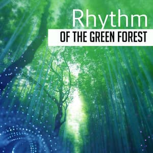 Rhythm of the Green Forest - Nature Sounds Universe