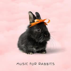 Music For Rabbits - Relaxing Piano For Pets