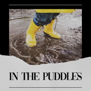 In the Puddles - Clear Mind Raining