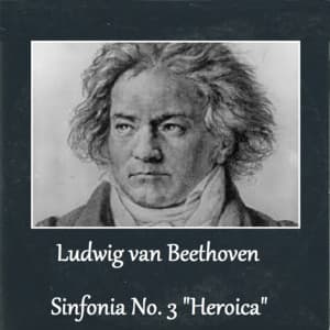 Ludwig van Beethoven - Sinfonia No. 3 "Heroica" - Ludwig van Beethoven