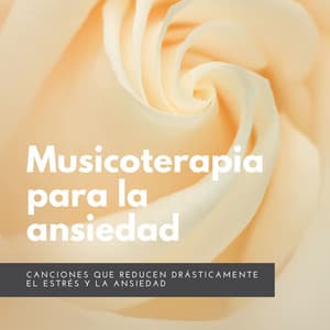 Musicoterapia para la Ansiedad: Canciones que Reducen Drásticamente el Estrés y la Ansiedad - Calmar la Ansiedad