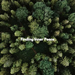 Finding Inner Peace - Music for Cooking Playlist