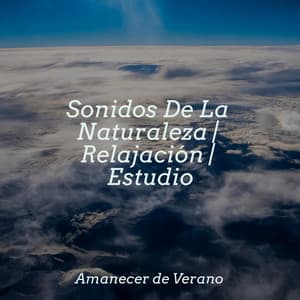 Sonidos De La Naturaleza | Relajación | Estudio - Musica Romantica Ensemble