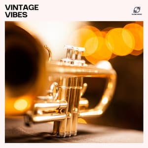Vintage Vibes - Amazing Chill Out Jazz Paradise