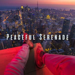 Peaceful Serenade: Meditative Tones for Relaxation - Meditation and Stress Relief Therapy