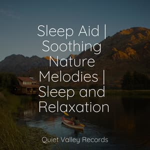 Sleep Aid | Soothing Nature Melodies | Sleep and Relaxation - Rain and Nature