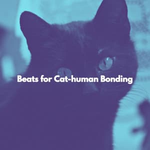 Beats for Cat-human Bonding - Musica de Trabajo Ritmos