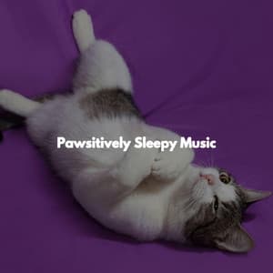Pawsitively Sleepy Music - Calming Instrumental Jazz Ambiance