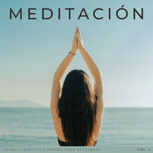 Meditación: Calmas Corrientes Mindful Para Descansar Vol. 1 - Ciencia del Agua