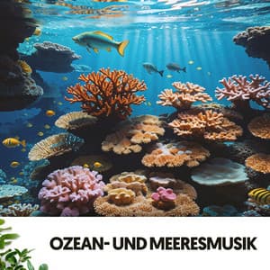 Ozean- und Meeresmusik: Melodien des tiefen Blaus - Relajacion