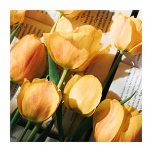 Anti Stress Guitar Melodies - Relaxing Easy Listening