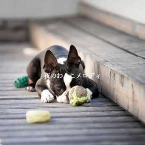 夜のわんこメロディ - Chillout Jazz Deluxe