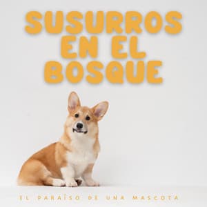 Susurros en el Bosque: El Paraíso de una Mascota - Sonidos de la selva tropical