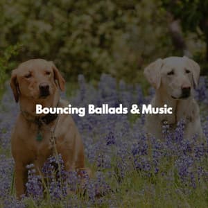 Bouncing Ballads & Music - Calm Work Music