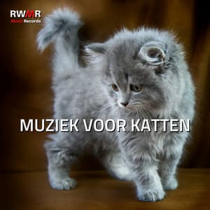 Muziek voor katten - Rustgevende melodieën voor kittens, ontspannende liedjes voor rusteloze dieren, slaapmuziek, antistressliedjes, natuurgeluiden - RW Muziek voor kattenoren