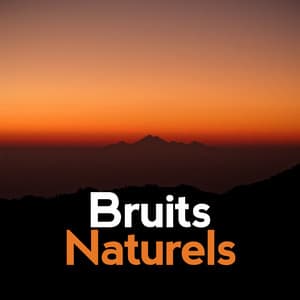 Bruits Naturels - Bruits naturels