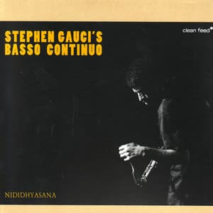 Basso Continuo - Stephen Gauci