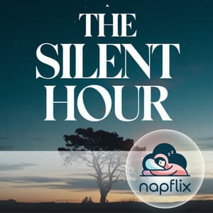 The Silent Hour - Napflix