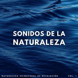 Sonidos De La Corriente: Naturaleza Primaveral De Relajación Vol. 1 - Sonidos de la naturaleza báltica