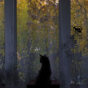 Nervous System Reset for Indoor Cats - Pet Care Club